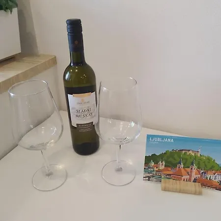 One-bedroom * 卢布尔雅那