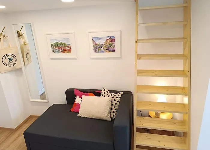 One-bedroom 公寓 *